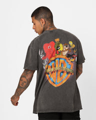 73Studio X Warner Bros. Marvin The Martian Vintage Heavyweight T-Shirt Black Wash